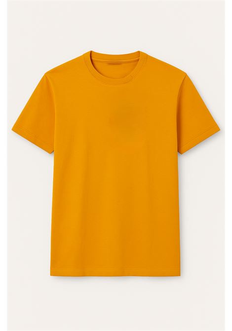 Check out Alpha Studio's signature Ice cotton T-shirt in an elegant gold hue, perfect for any season. Comfort and style in one. ALPHA STUDIO |  | AU-1330C1009